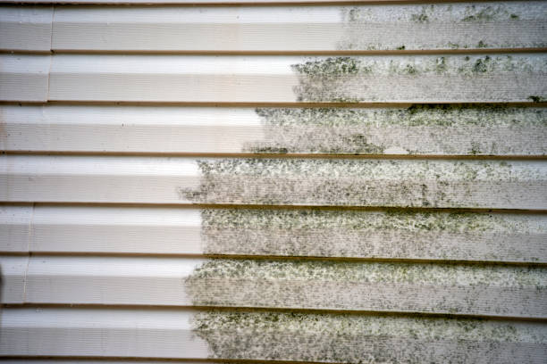 Best Historical Building Siding Restoration  in Magnolia, NJ