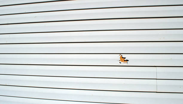 Best Siding Removal and Disposal  in Magnolia, NJ