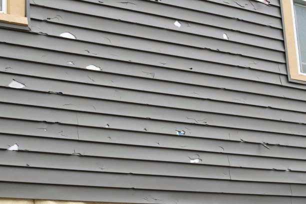 Best Aluminum Siding Installation  in Magnolia, NJ