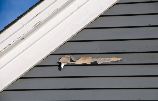 Best Stucco Siding  in Magnolia, NJ