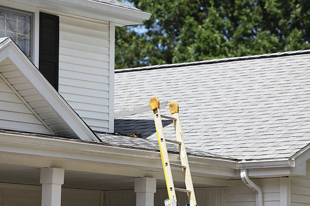 Best Fiber Cement Siding Installation  in Magnolia, NJ