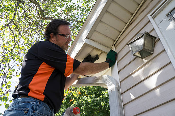 Best Siding for New Construction  in Magnolia, NJ